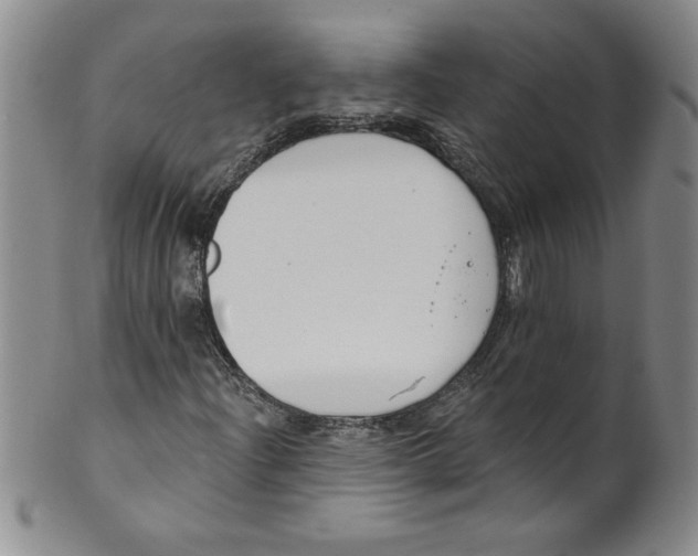 X0000101981204200808081606