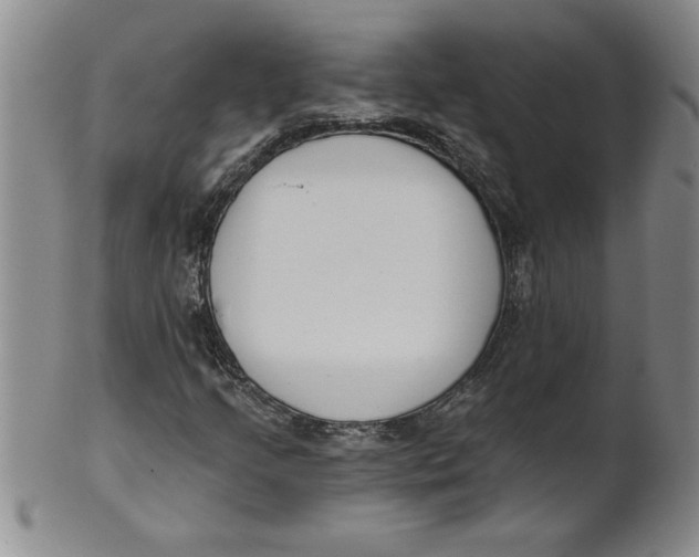 X0000101981205200808081606