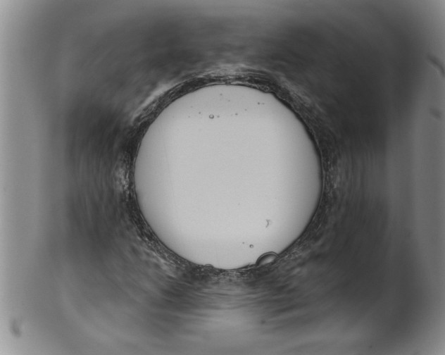 X0000101981206200808081606