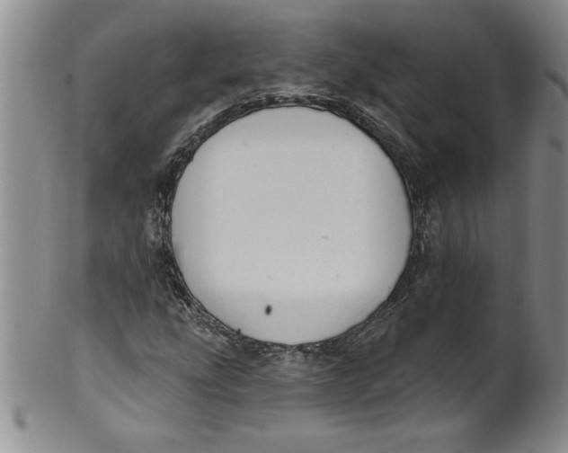 X0000101981207200808081606