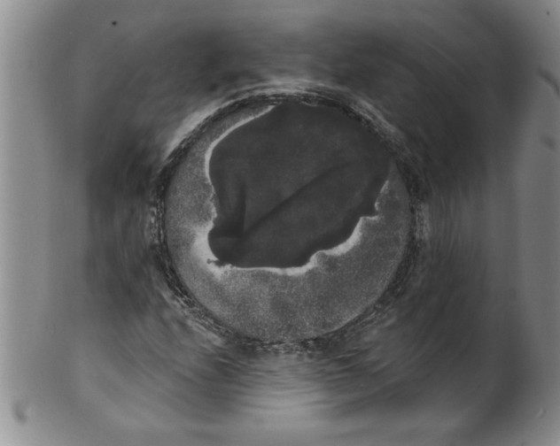 X0000101981208200808081606