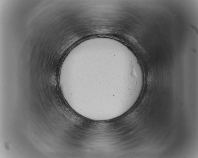 X0000101981209200808081606