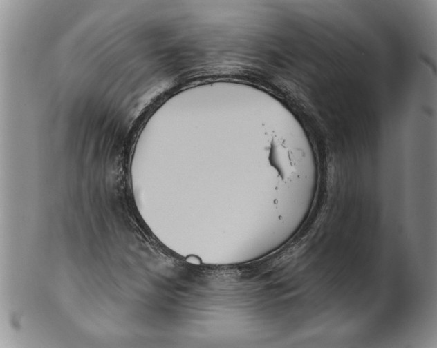 X0000101981210200808081606