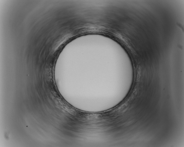 X0000101981211200808081606