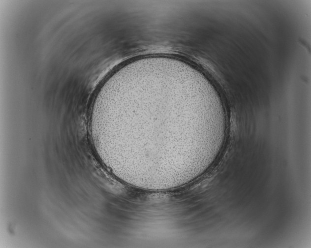 X0000101981212200808081606