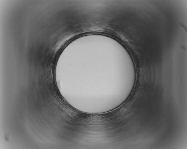 X0000101981214200808081606