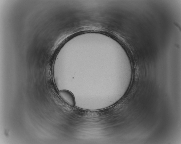 X0000101981215200808081607