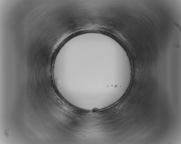 X0000101981216200808081607