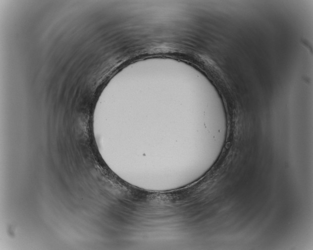 X0000101981217200808081607