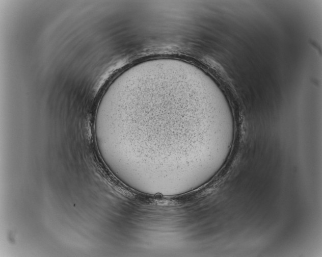 X0000101981218200808081607