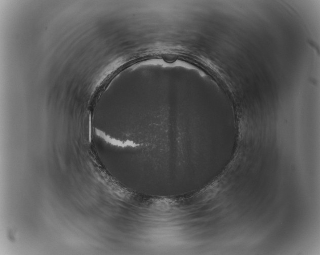 X0000101981219200808081607