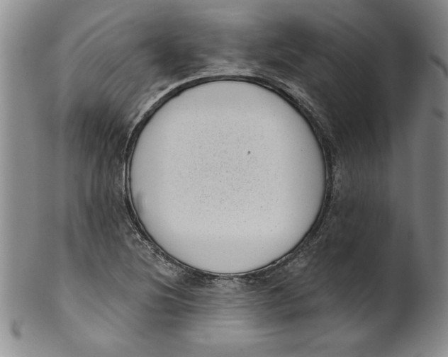 X0000101981220200808081607