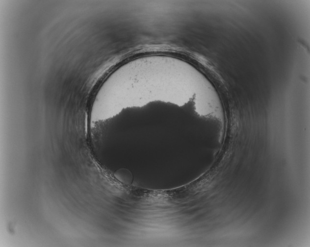 X0000101981221200808081607