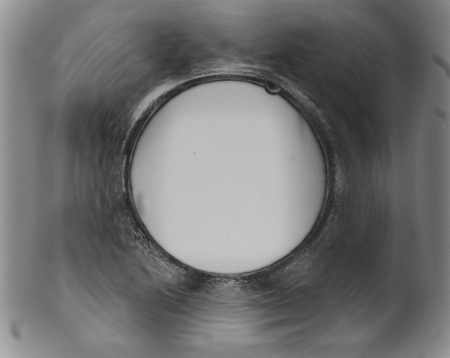 X0000101981222200808081607