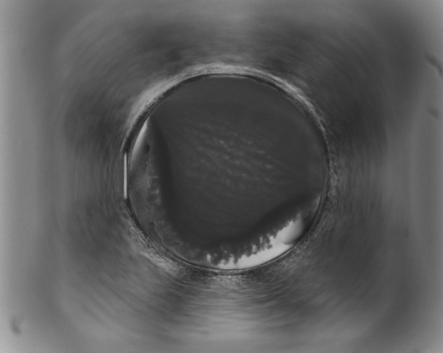 X0000101981223200808081607