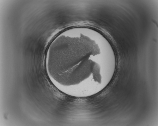 X0000101981224200808081607