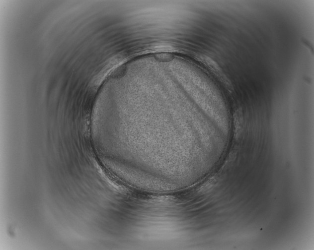 X0000101981225200808081607