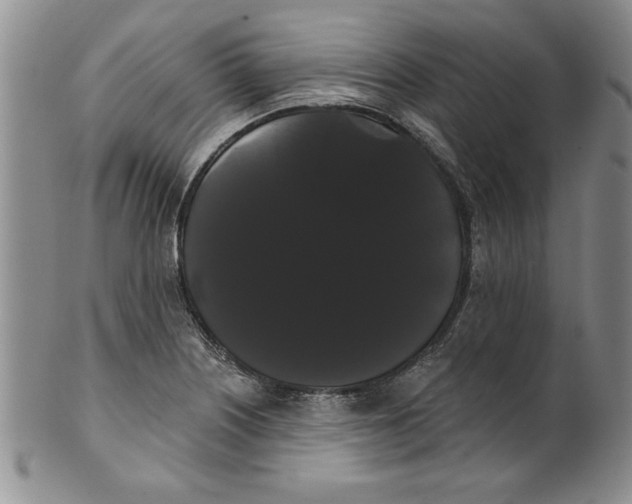 X0000101981226200808081607