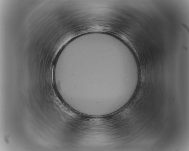 X0000101981227200808081607