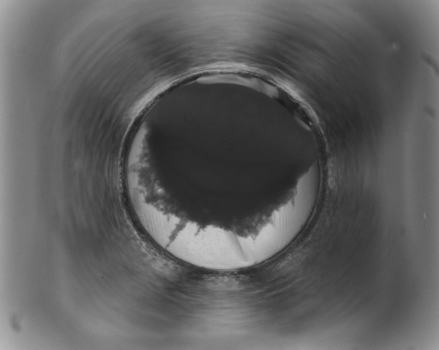 X0000101981229200808081607