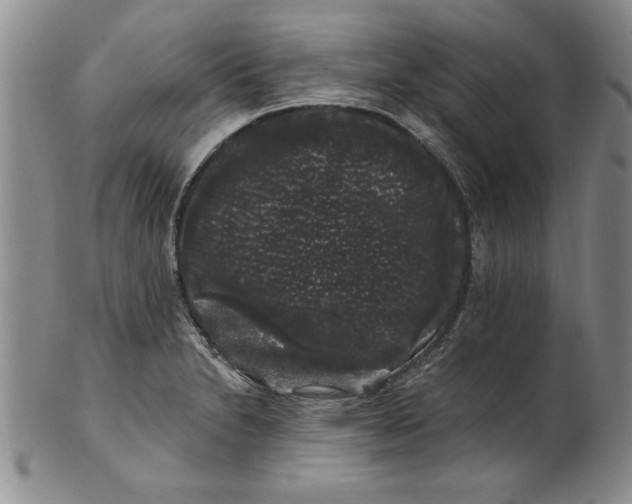 X0000101981230200808081607