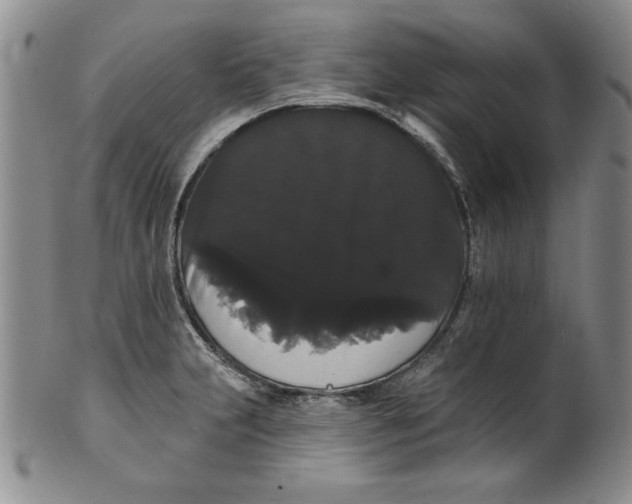 X0000101981231200808081607