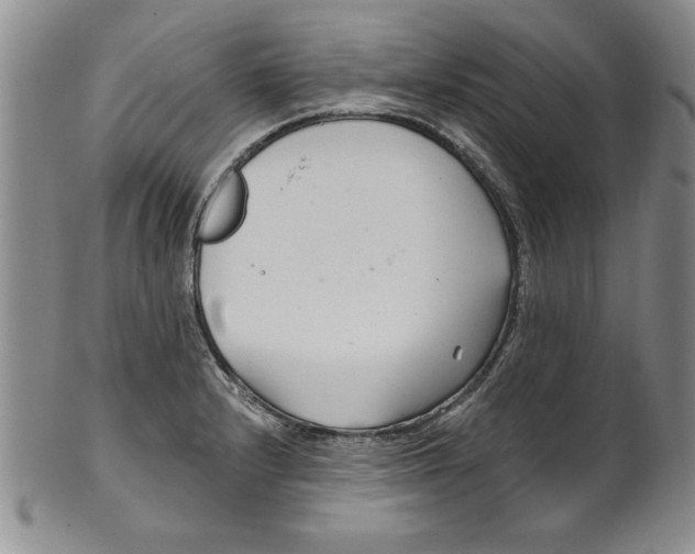 X0000101981232200808081607