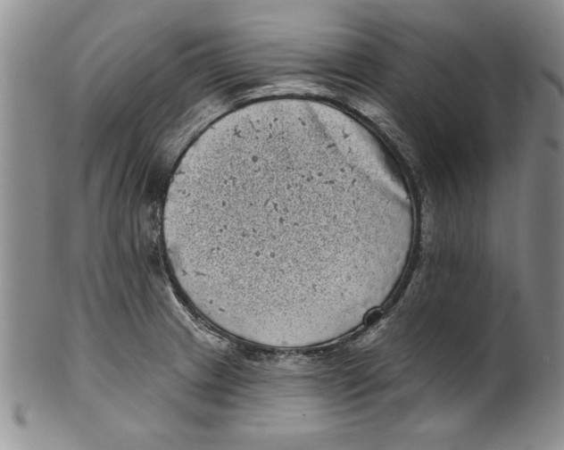 X0000101981233200808081607