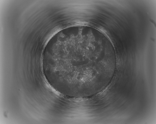 X0000101981235200808081607