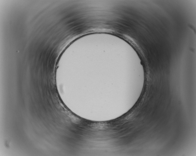 X0000101981236200808081607