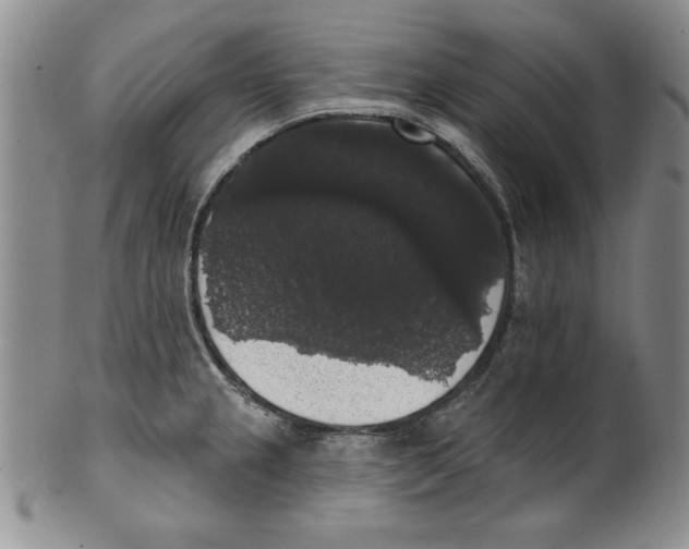 X0000101981237200808081607