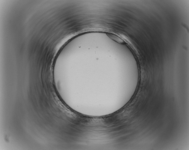 X0000101981238200808081607