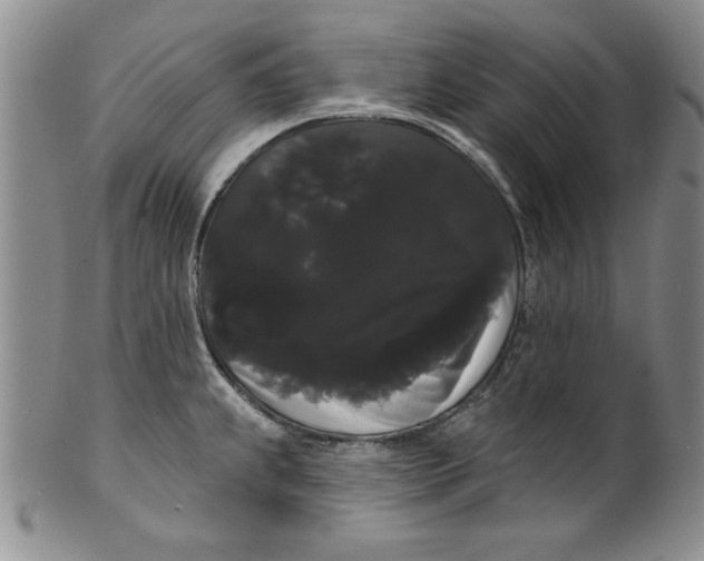 X0000101981239200808081607