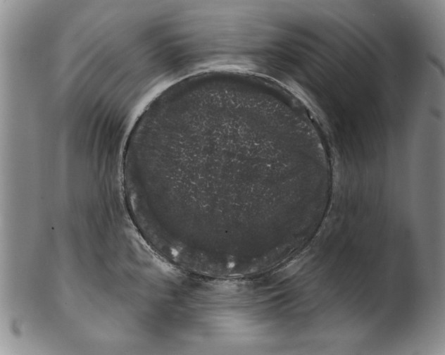 X0000101981240200808081607