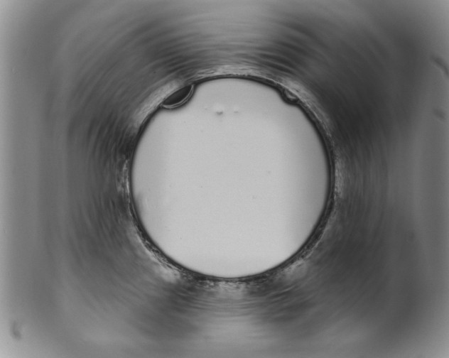 X0000101981241200808081607