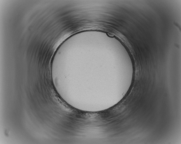 X0000101981242200808081607