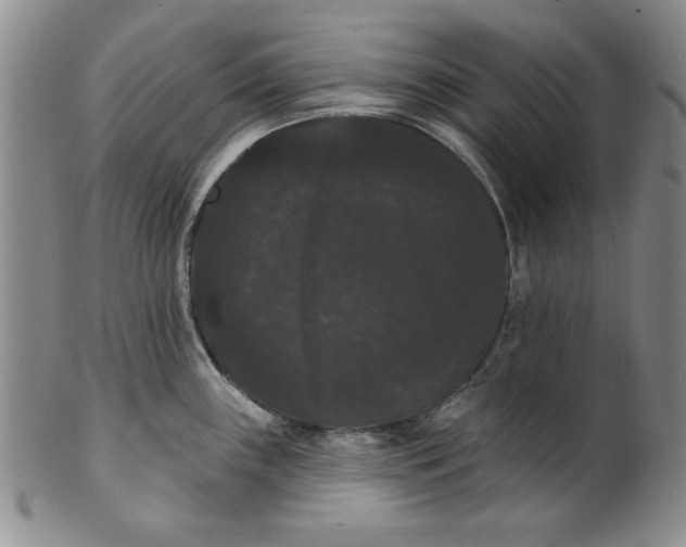 X0000101981243200808081607