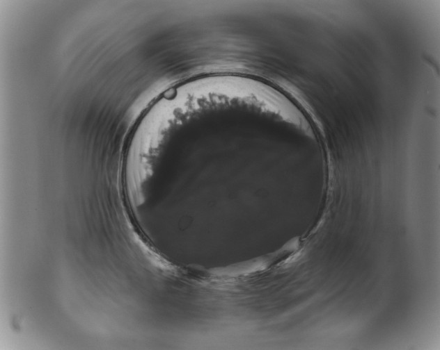 X0000101981245200808081607