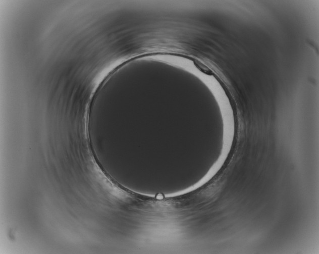 X0000101981246200808081607