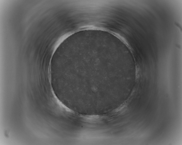 X0000101981247200808081607