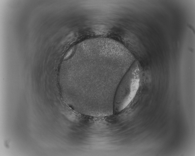 X0000101981249200808081606