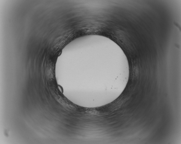 X0000101981250200808081606