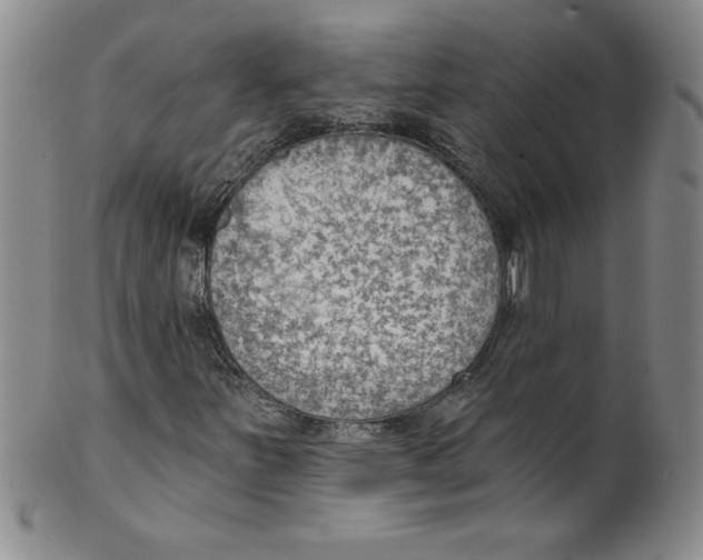 X0000101981251200808081606