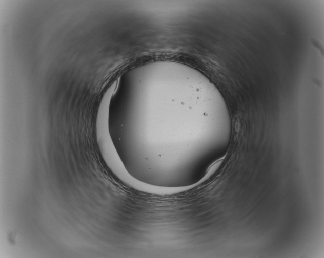 X0000101981252200808081606