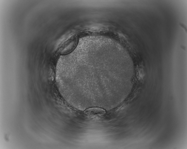 X0000101981253200808081606