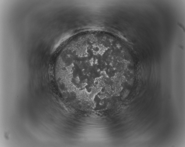 X0000101981255200808081606