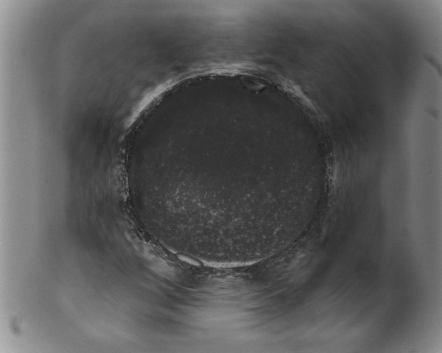 X0000101981256200808081606