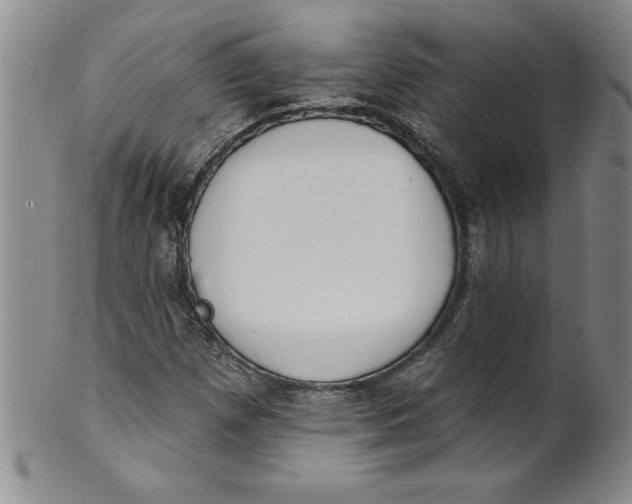 X0000101981257200808081606