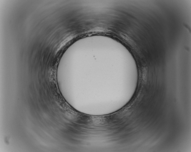 X0000101981258200808081606