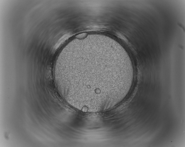 X0000101981259200808081606